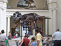 « Sue », le squelette du Tyrannosaurus rex au musée Field.