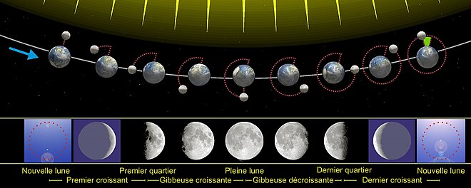 Animation d'une rotation de la Lune autour de la Terre, montrant en chaque point quelle phase sera observée sur Terre.