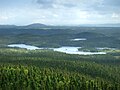 Forêt boréale du parc national de Terra Nova, centre de Terre-Neuve (vue depuis Ochre Hill).