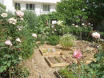 Un jardin partagé borde la pelouse du Jardin Paul-Nizan dans le 13e arrondissement de Paris[24].