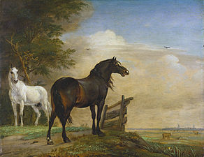 Deux chevaux à la barrière dans le pré (1649), Rijksmuseum Amsterdam.