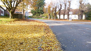 Paysage d'automne, dans les rues d'Ansauvillers.
