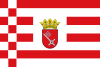 Провинциалното знаме със средната форма на герба