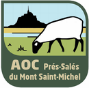 Image illustrative de l’article Prés salés du Mont-Saint-Michel