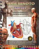 Art.No.5271629-       Човешкото тяло. Книга за оцветяване и проверка на знанията  Човешкото тяло. Книга за оцветяване и проверка на знанията от 
