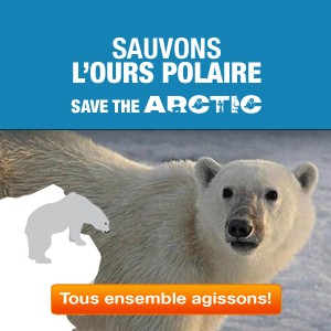 Greenpeace lance la campagne Save the Arctic
