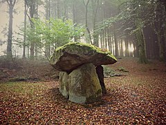 Commended: Dolwilym Burial Chamber (known as Arthur's Table or Gwal y Filiast) Author: Karen Sawyer
