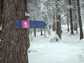 Snowshoe trail sign