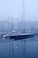 Brouillard dans le port de La Rochelle.