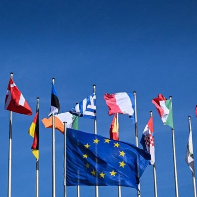 Les drapeaux des pays européens devant le Parlement à Strasbourg.