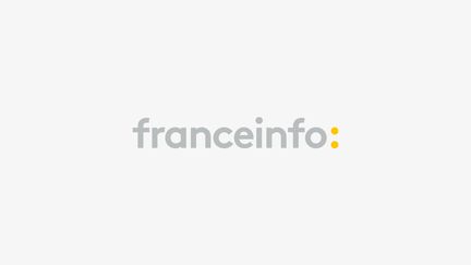 Franceinfo (Franceinfo)